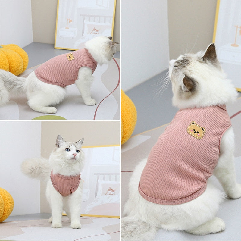 Bear Clothes for Cats