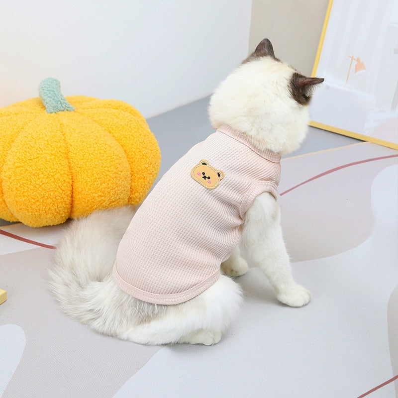 Bear Clothes for Cats