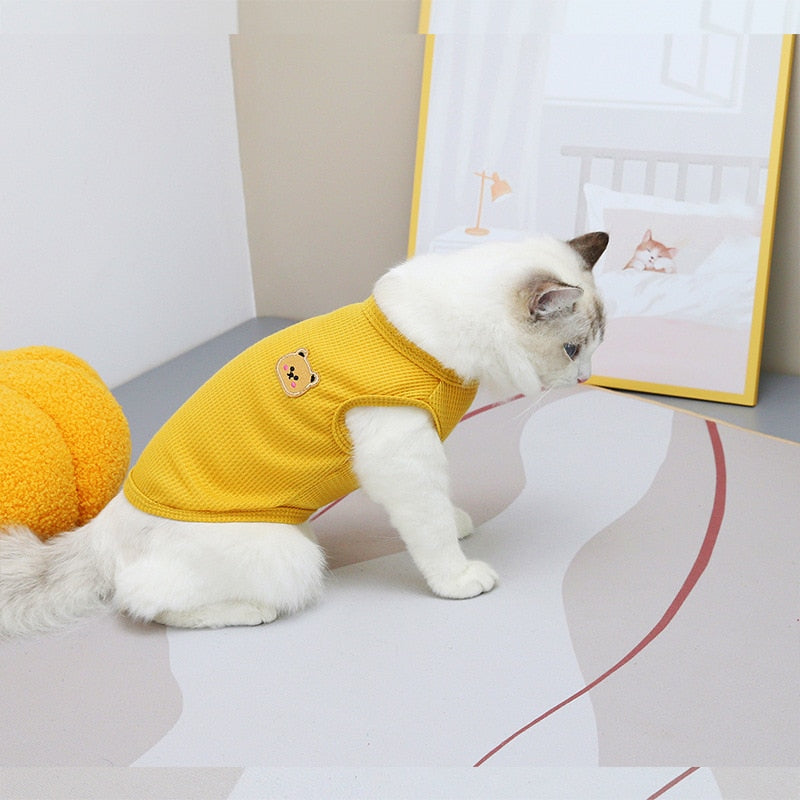 Bear Clothes for Cats