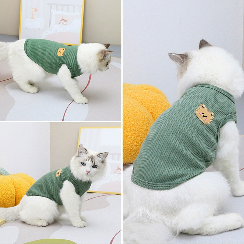 Bear Clothes for Cats