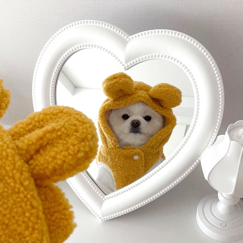 Bear Costume for Cats