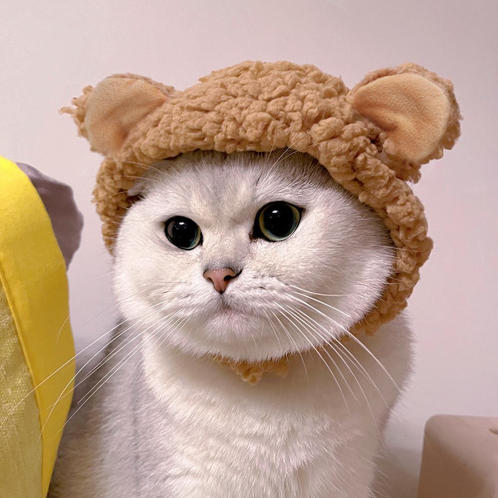 Bear Hat for Cats