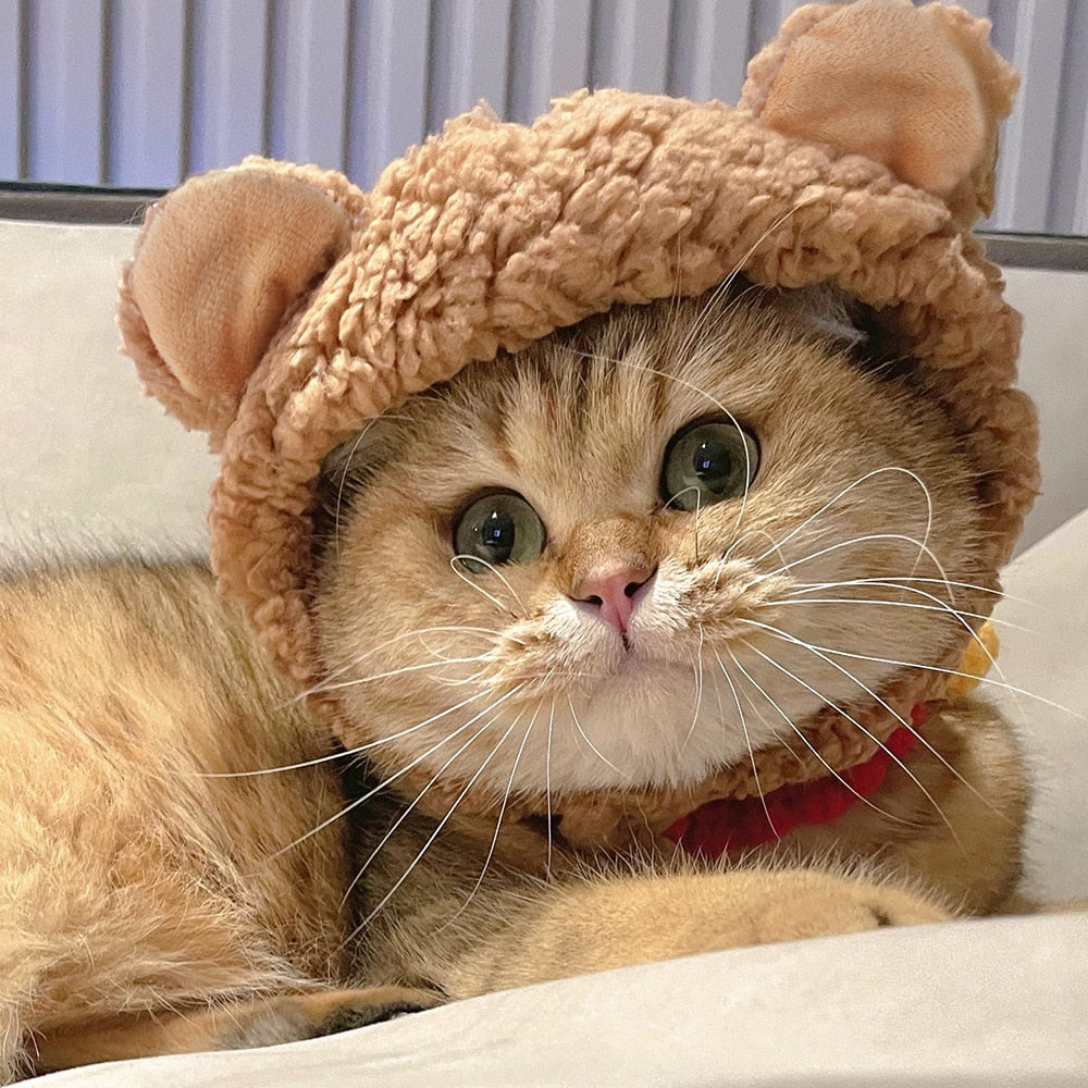 Bear Hat for Cats