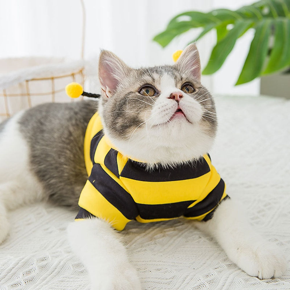 Bee Costume for Cats