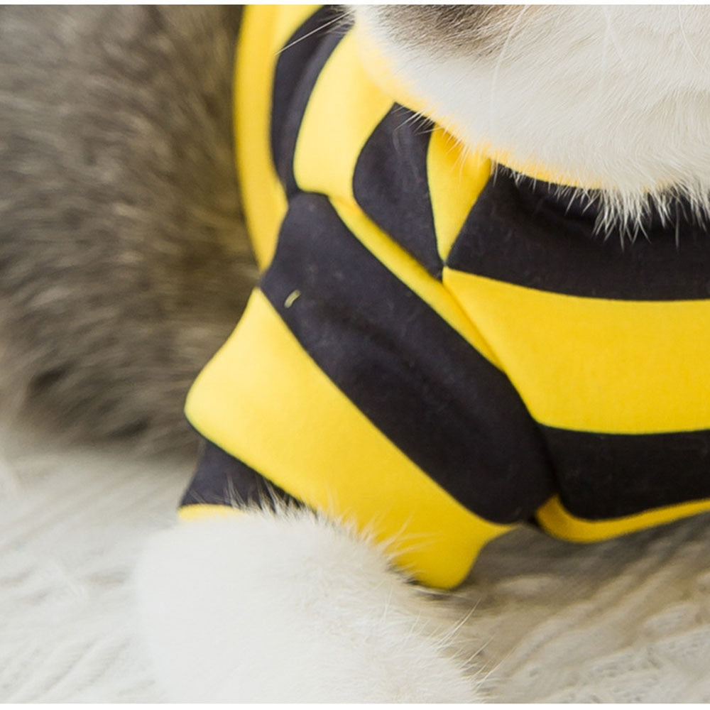 Bee Costume for Cats