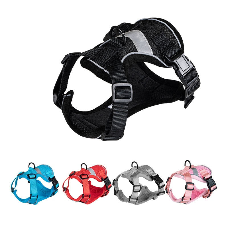 Bengal Cat Harness