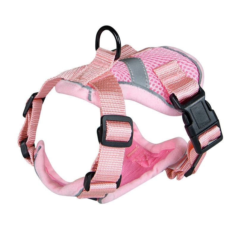Bengal Cat Harness