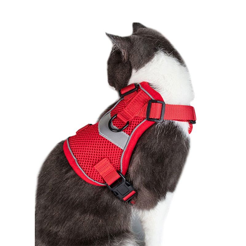 Bengal Cat Harness