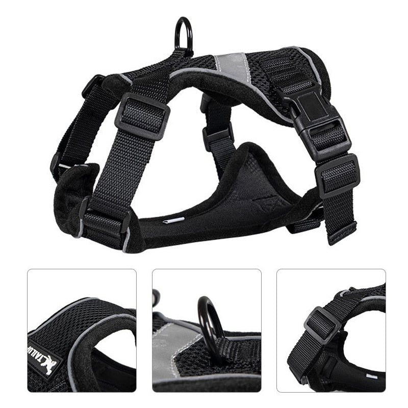 Bengal Cat Harness