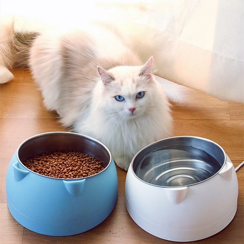 Big Cat Bowl