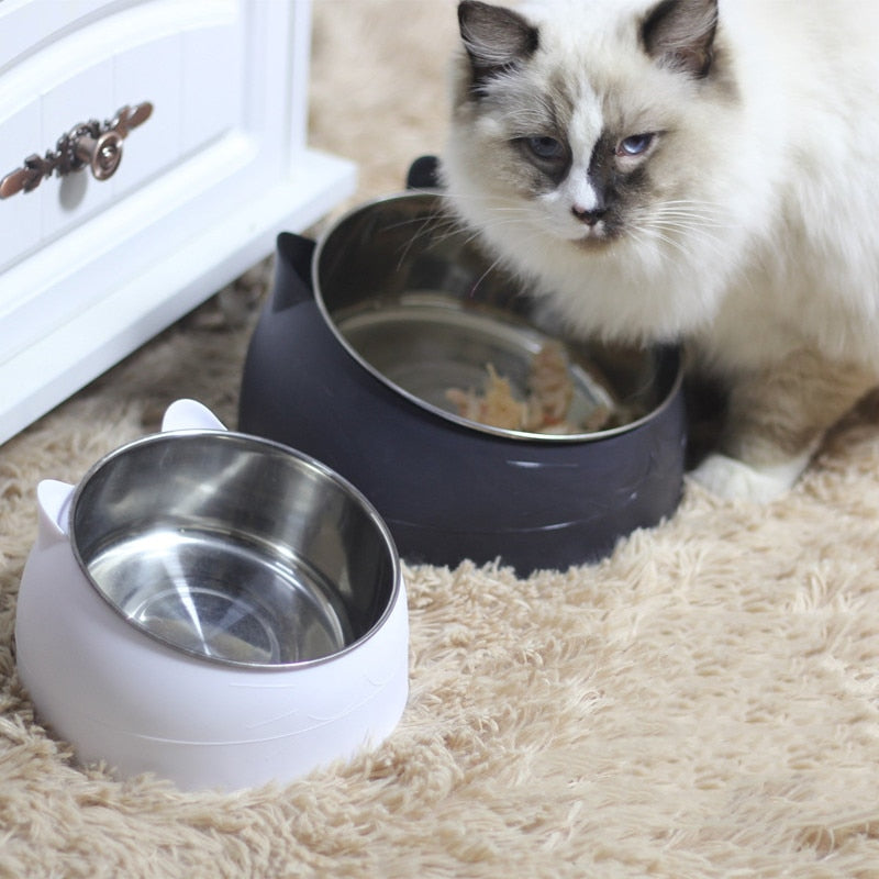 Big Cat Bowl