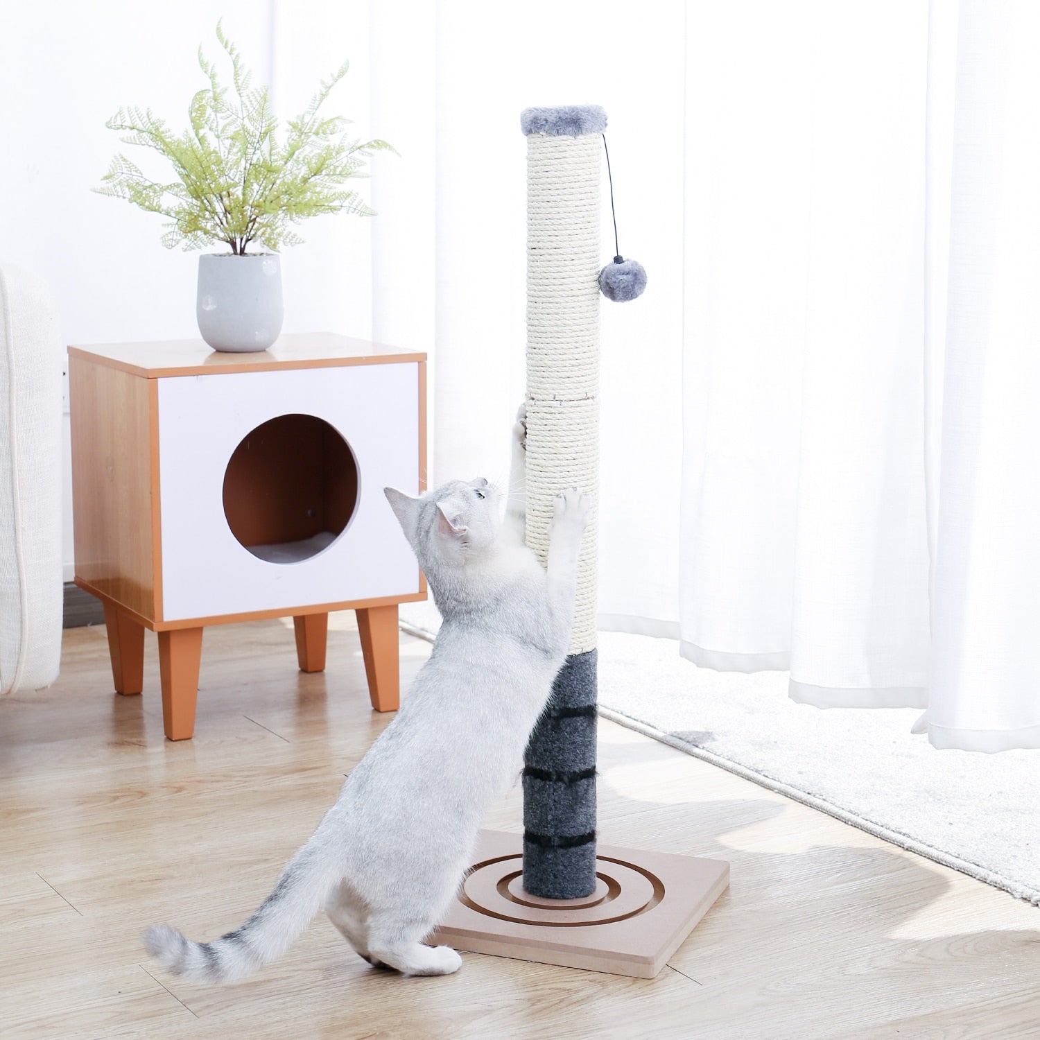 Big Cat Scratching Post
