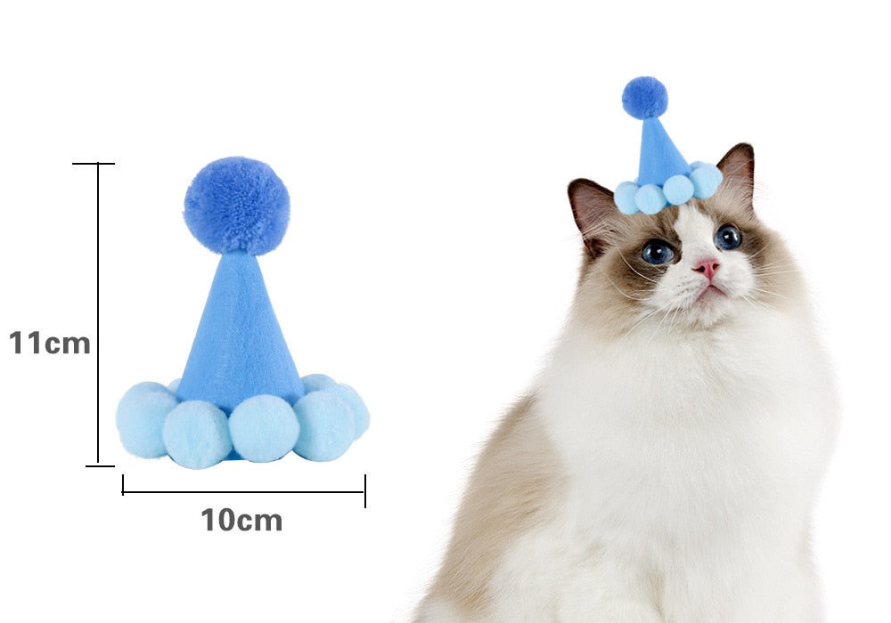 Birthday Hats for Cats