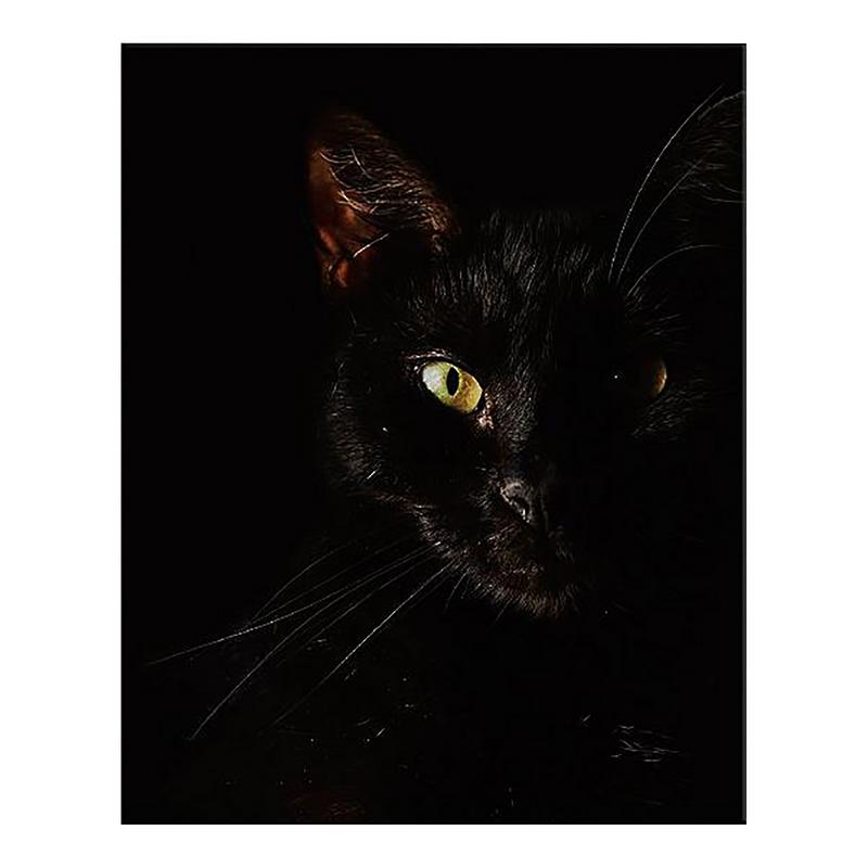 Black Cat Graphic Wall Art