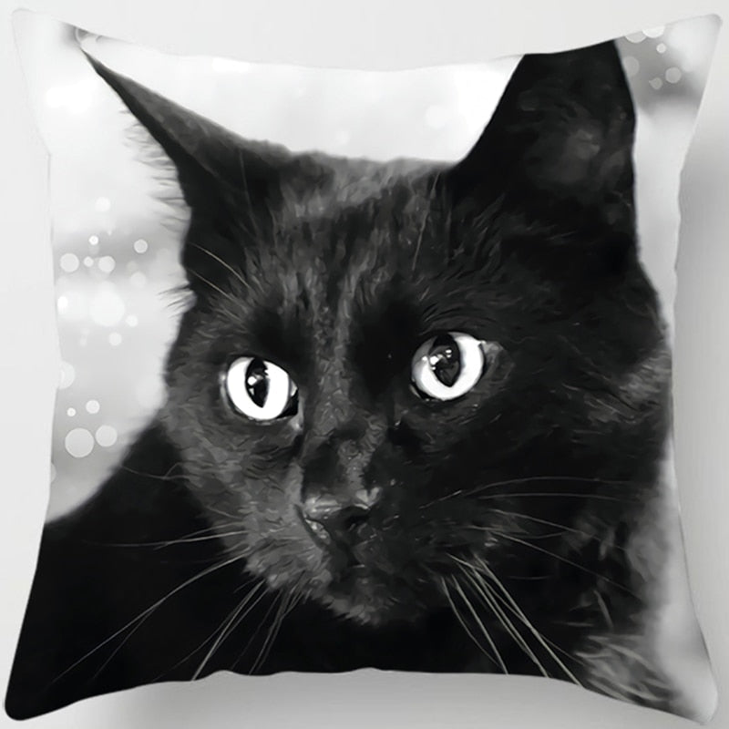 Black Cat Pillow