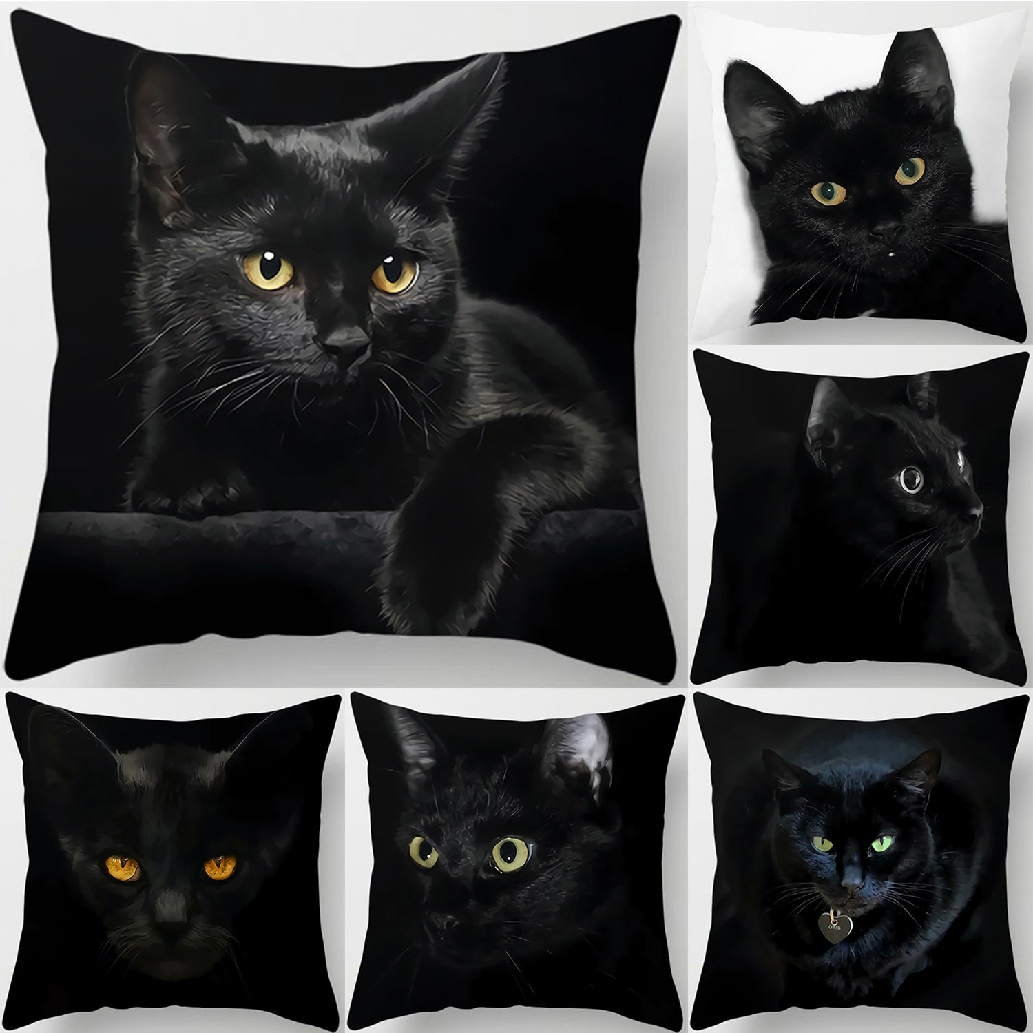 Black Cat Pillow