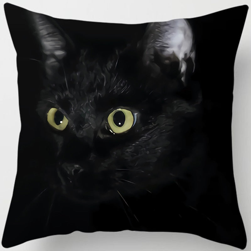 Black Cat Pillow