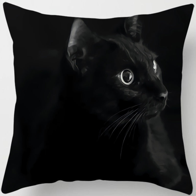 Black Cat Pillow