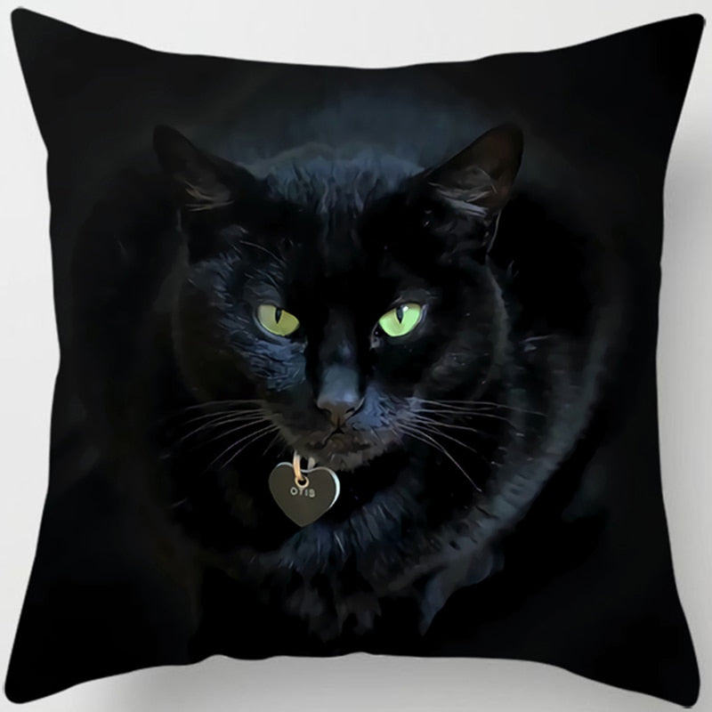 Black Cat Pillow