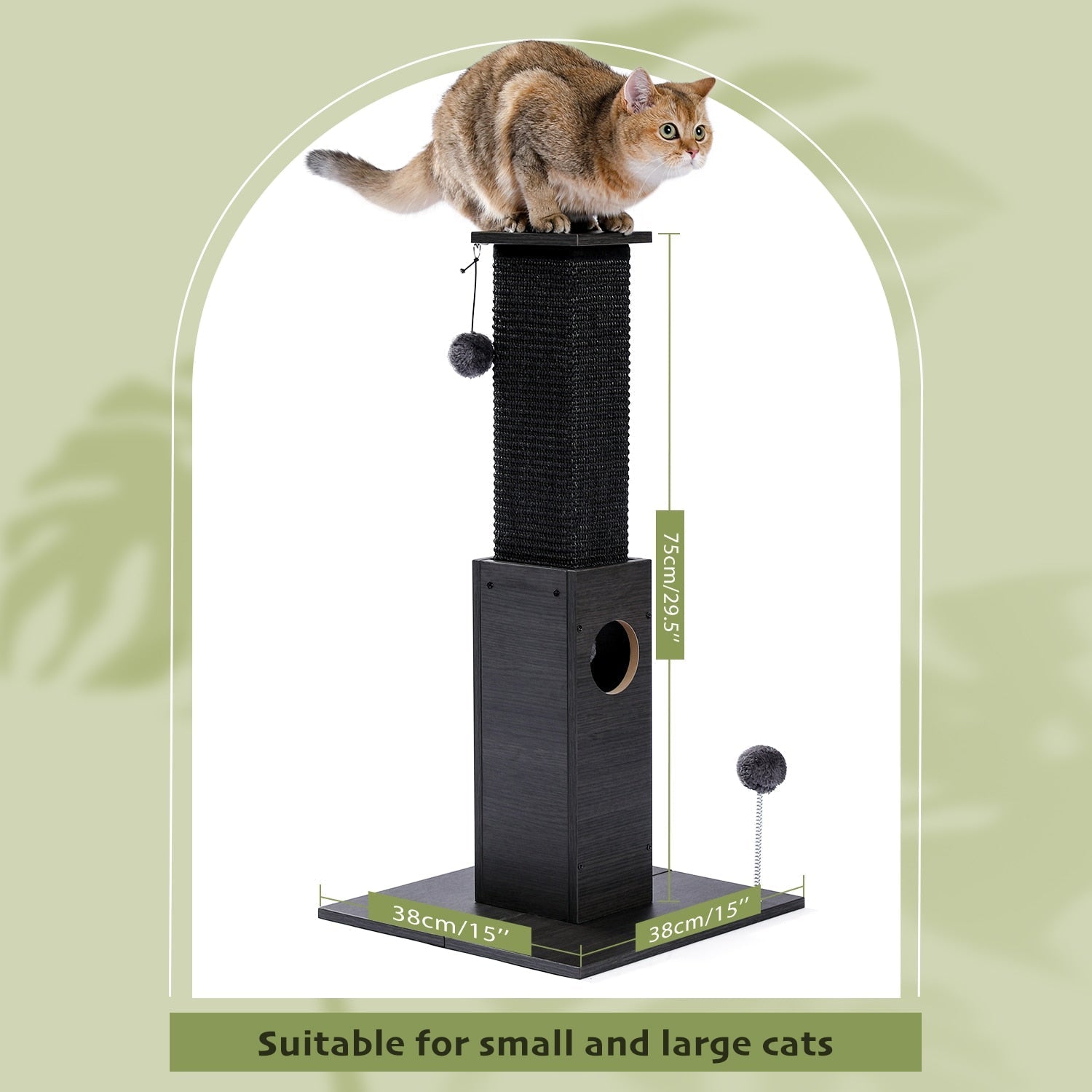 Black Cat Scratch Post