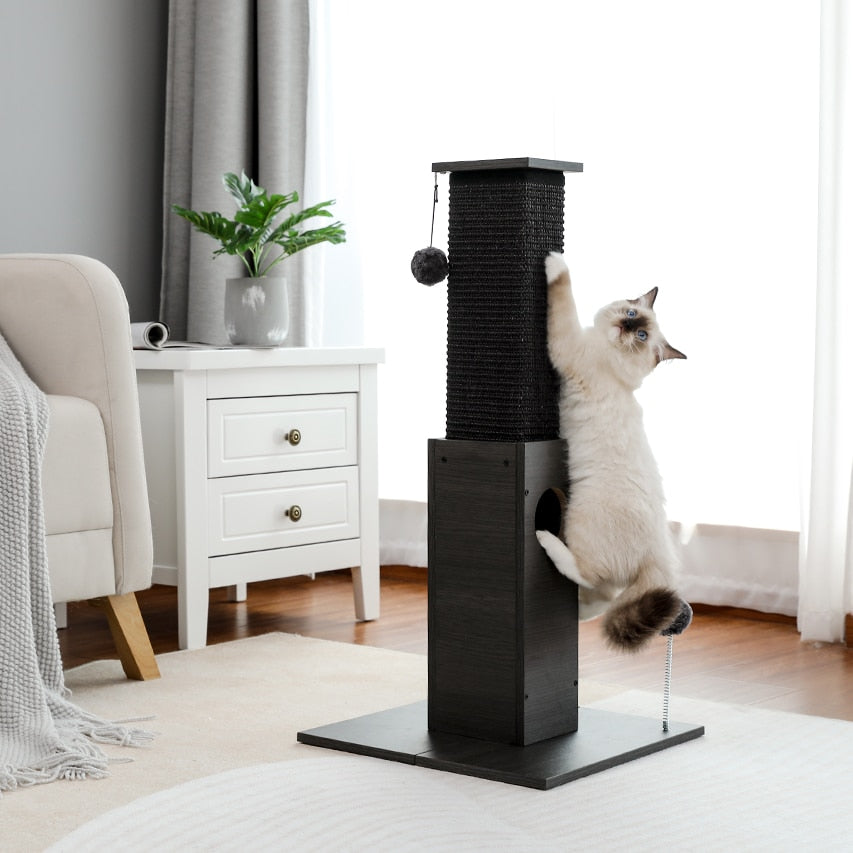 Black Cat Scratch Post