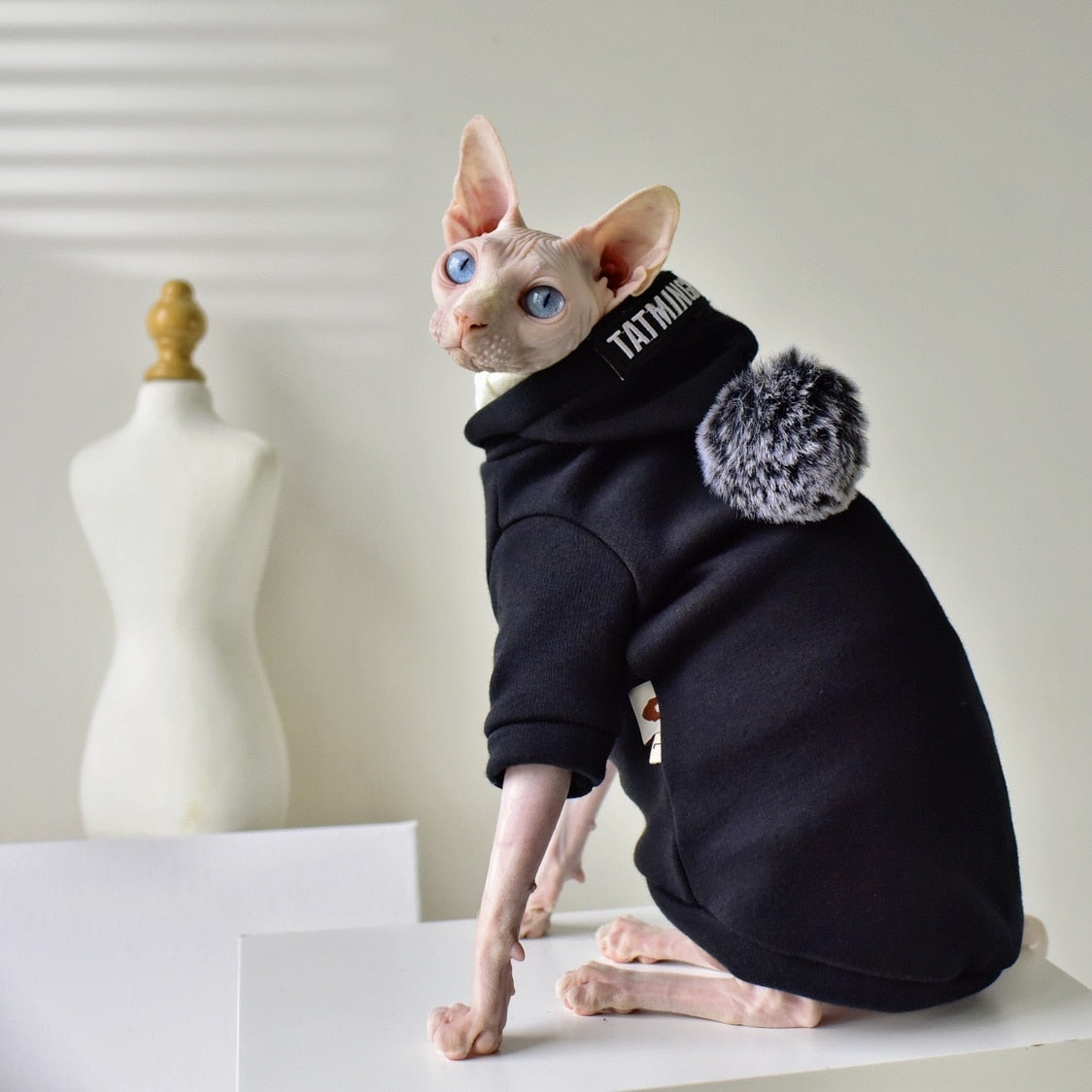 Black Clothes for Cats