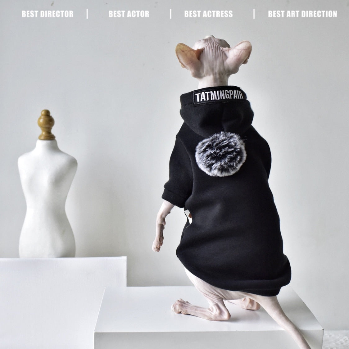 Black Clothes for Cats
