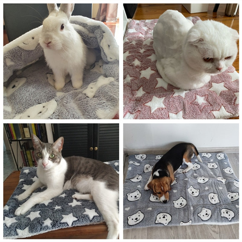 Blanket for Cats