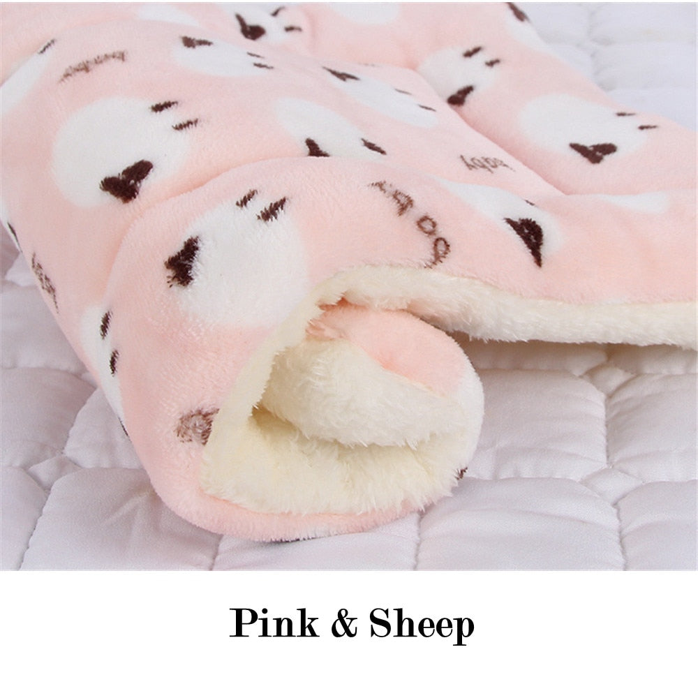 Blanket for Cats
