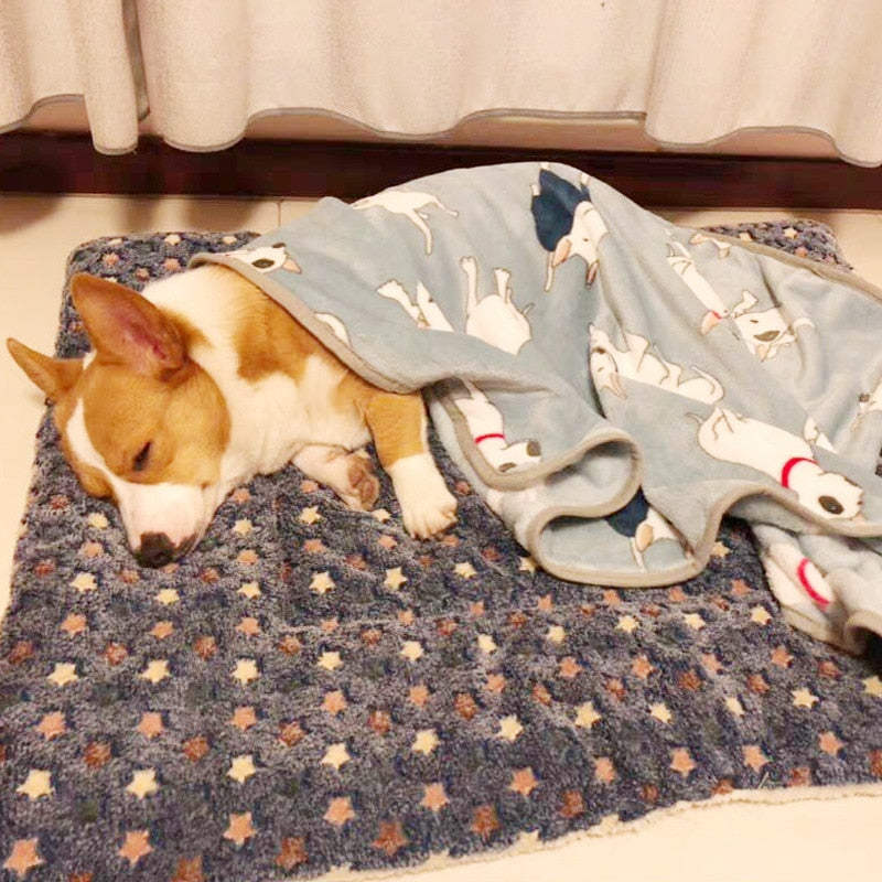 Blanket for Cats
