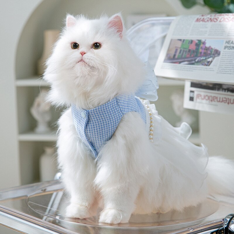 Blue Cat Dress