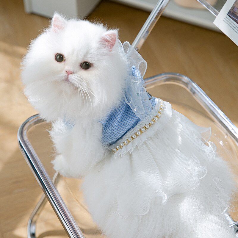 Blue Cat Dress