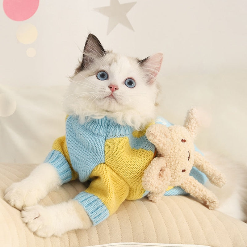 Blue Clothes for Cats