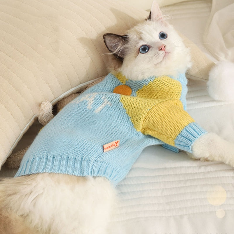Blue Clothes for Cats