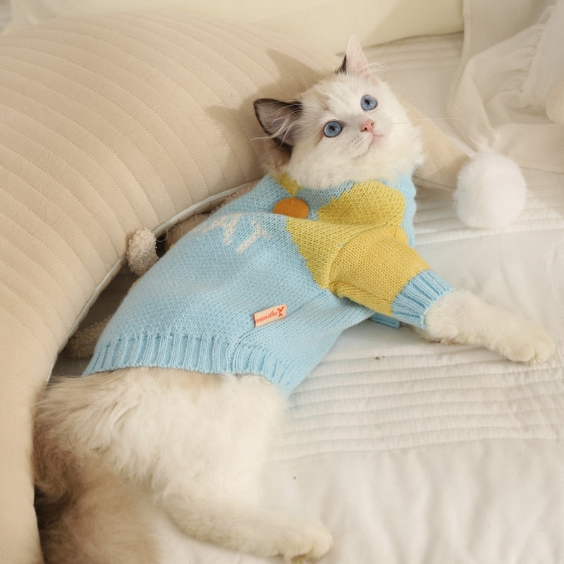 Blue Clothes for Cats