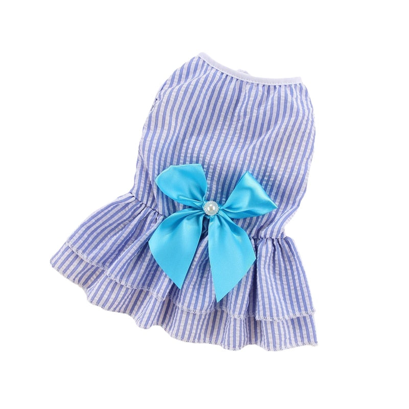 Bow Cat Dress