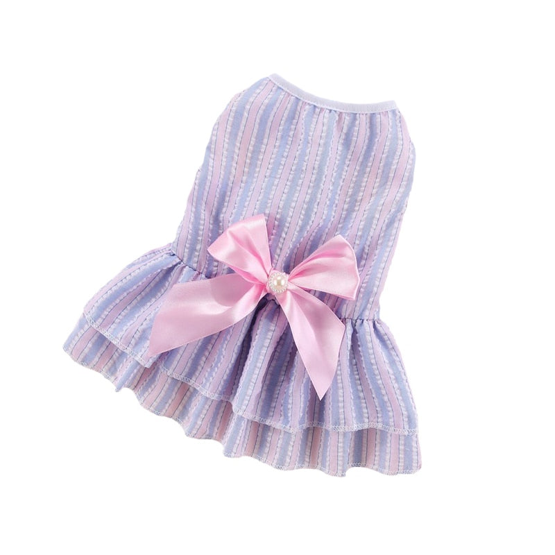 Bow Cat Dress