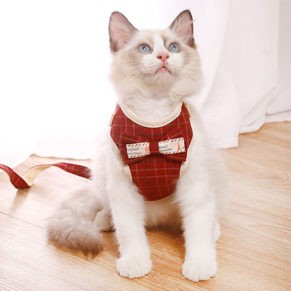 Bowknot Cat Harnesses
