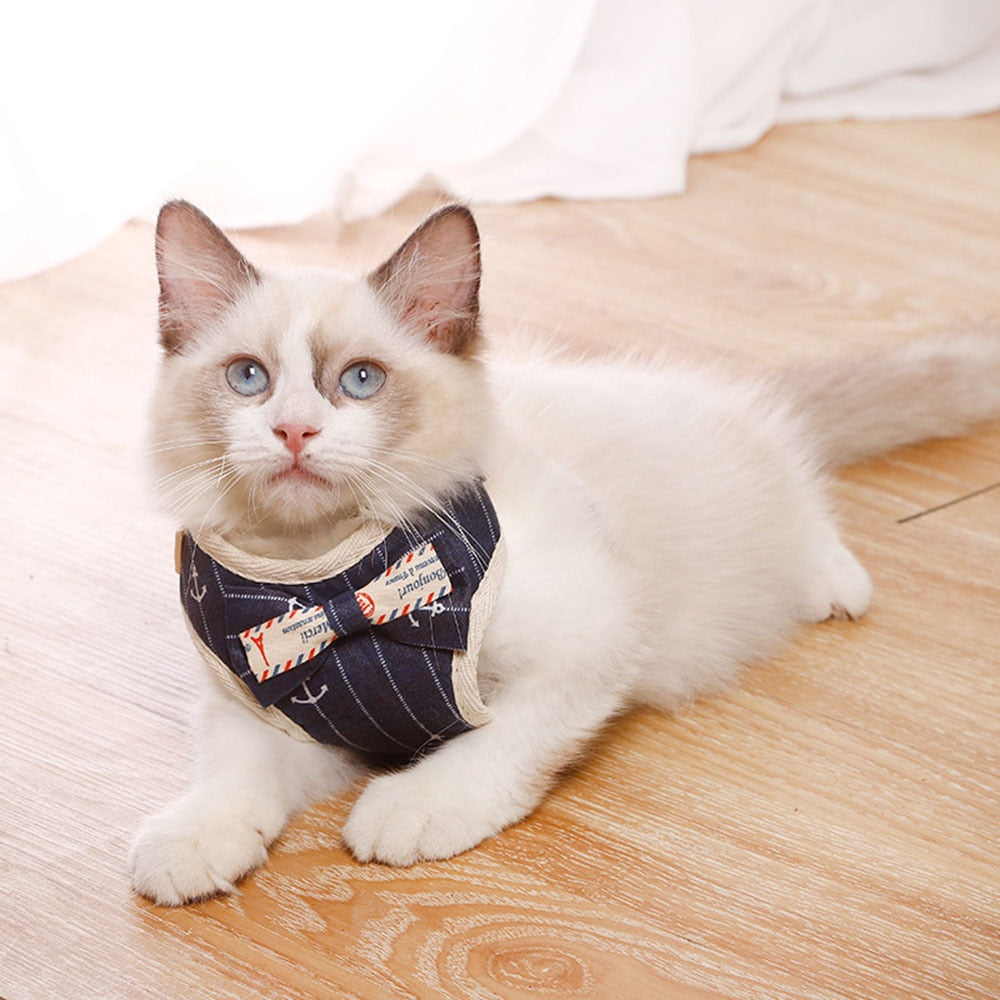 Bowknot Cat Harnesses