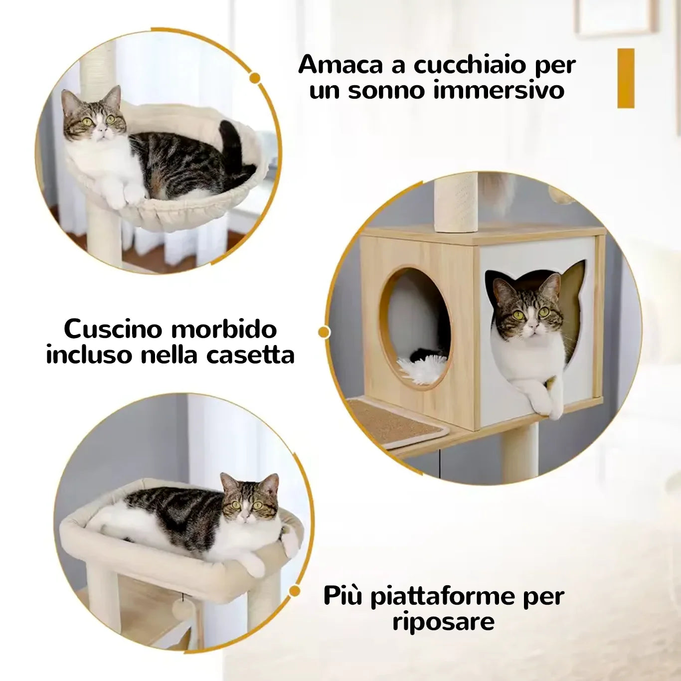 BoxCat tiragraffi per gatti con tappetino antiscivolo, copertura protettiva angoli e rivestimento rimovibile con bordo rialzato