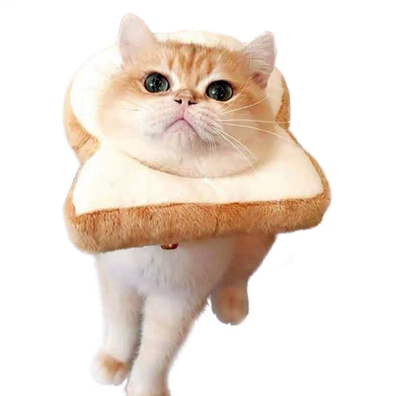 Bread Costume for Cat