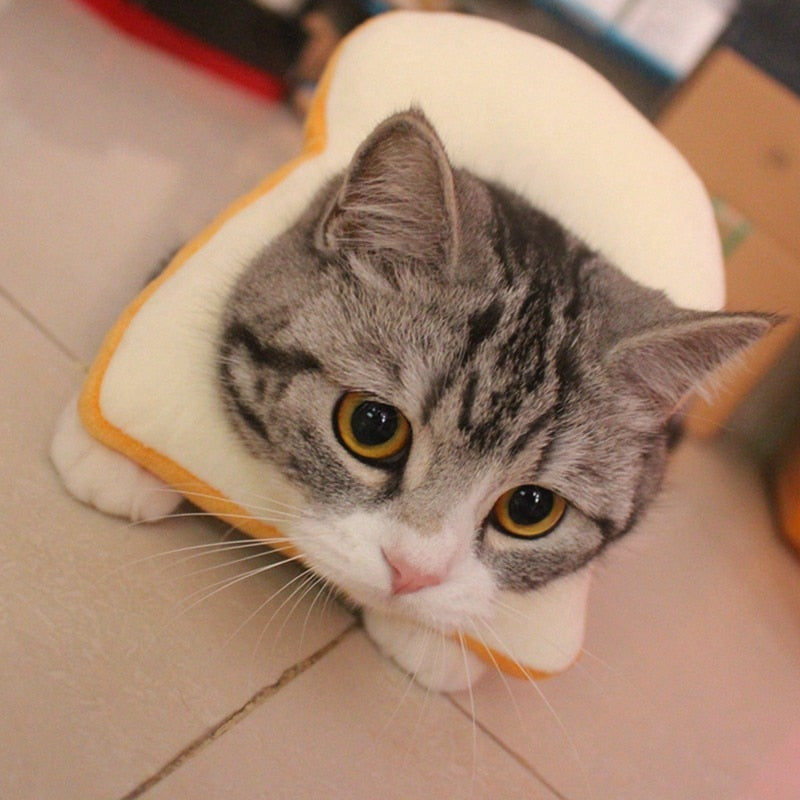Bread Costume for Cat