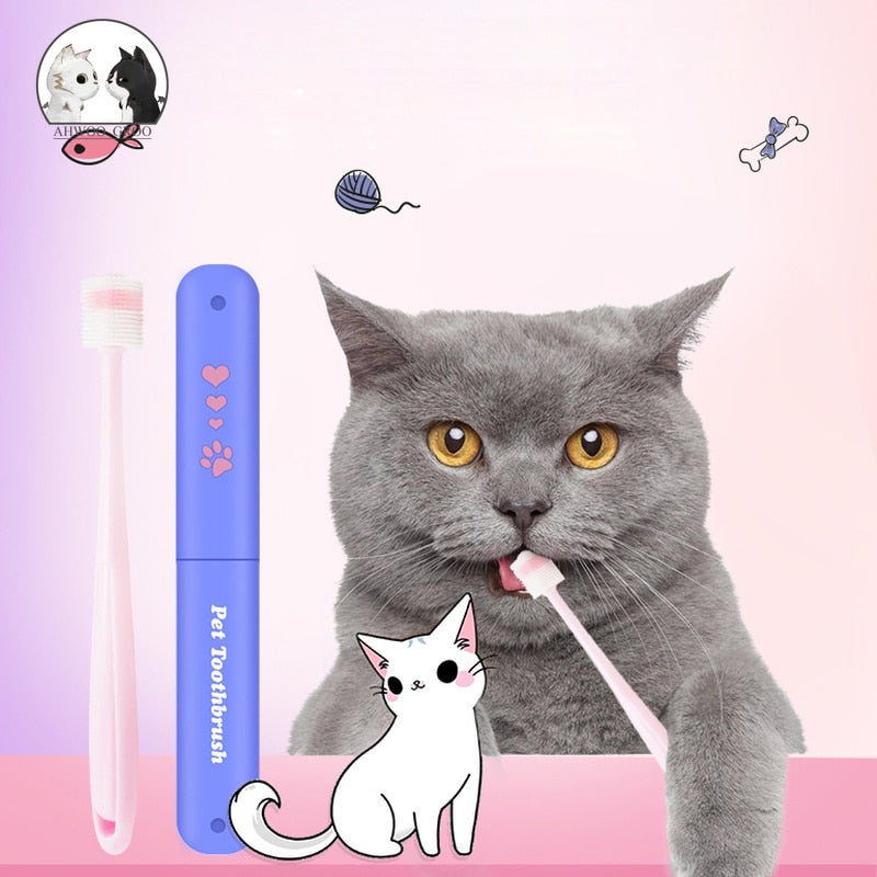 Brush Cat Teeth