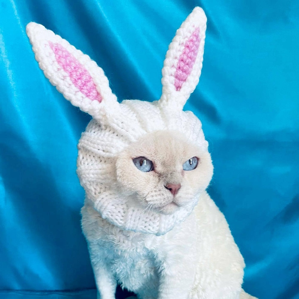 Bunny Hat for Cats