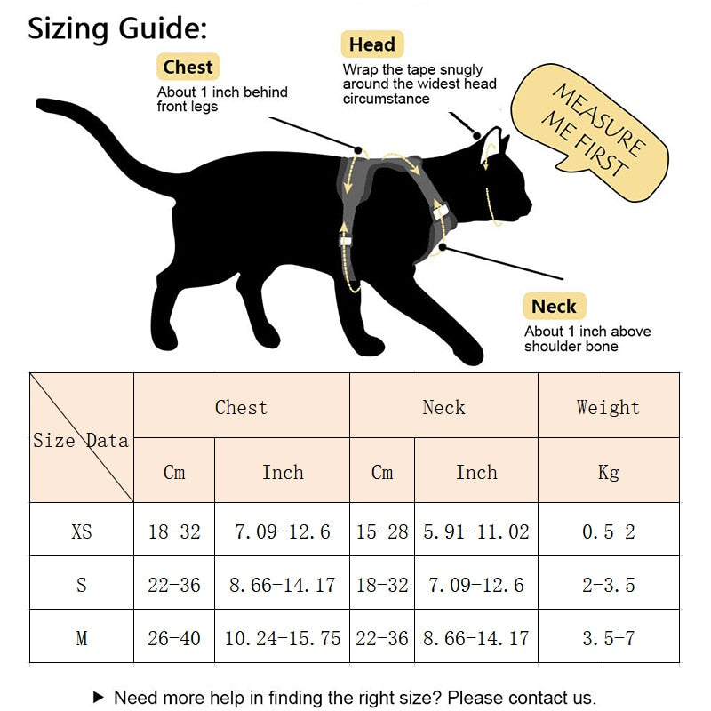 Butterfly Cat Harness