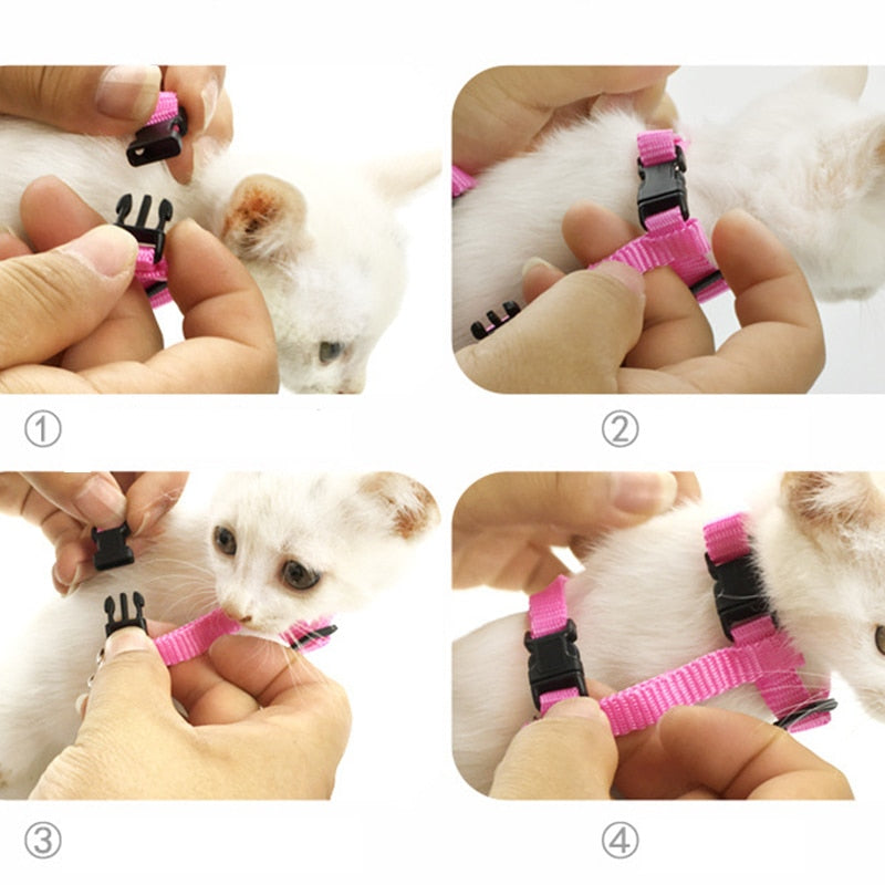 Butterfly Cat Harness
