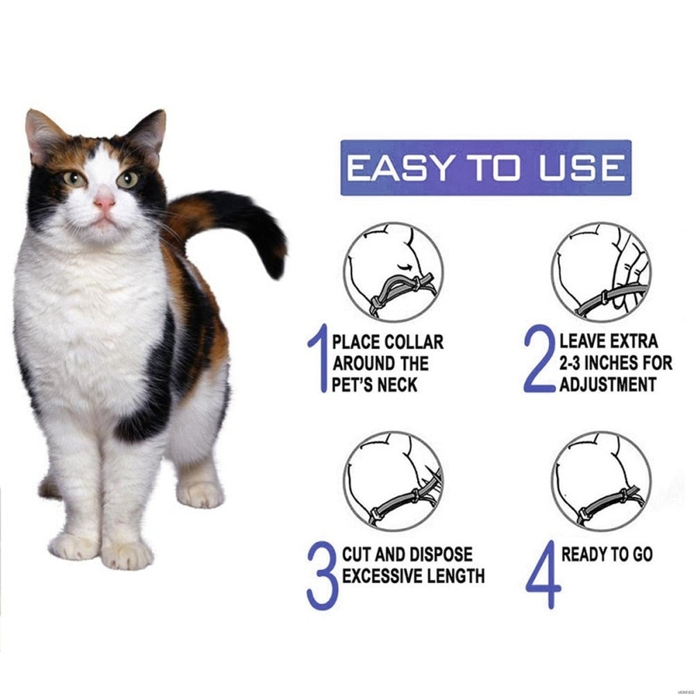 Calming Collars for Cats