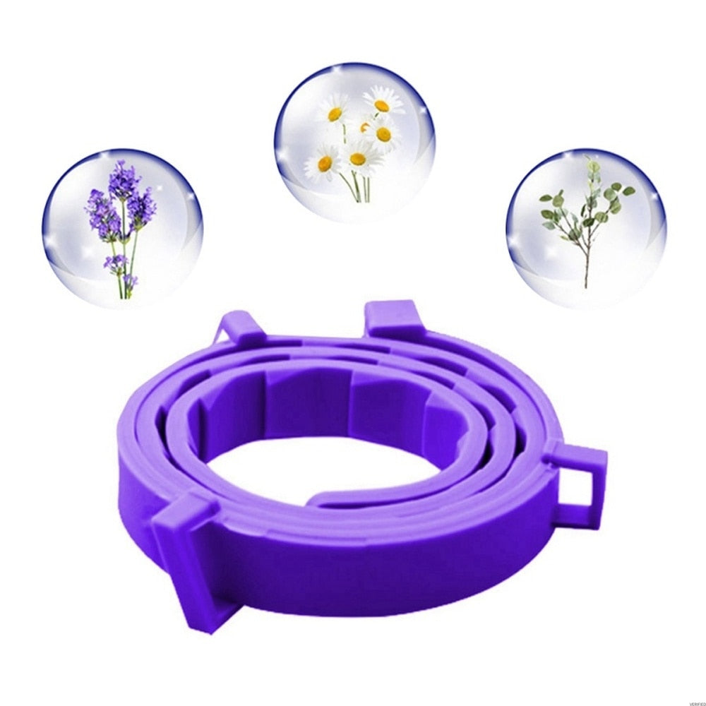 Calming Collars for Cats