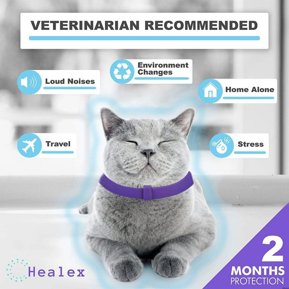 Calming Collars for Cats