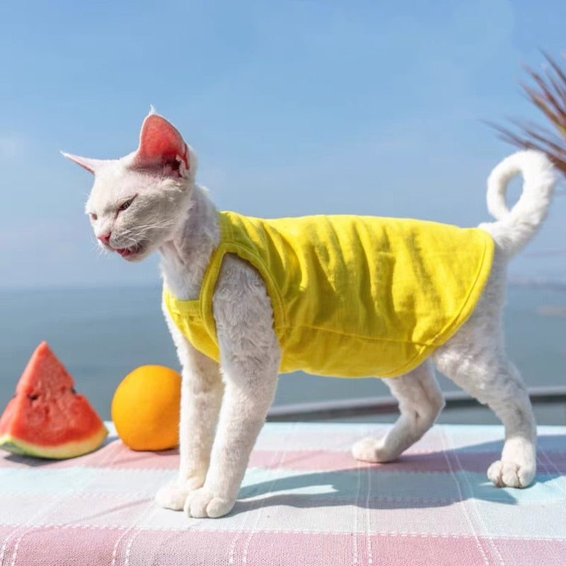 Camisole Clothes for Cats